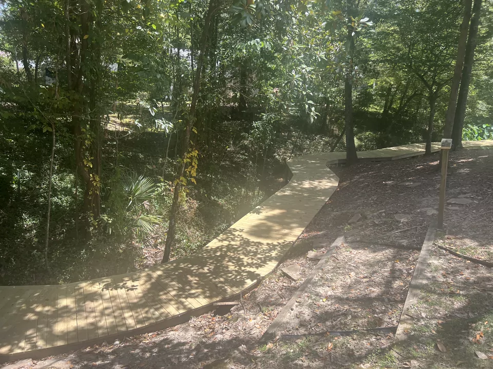 A concrete walkway curving through a sloped, heavily wooded lot.